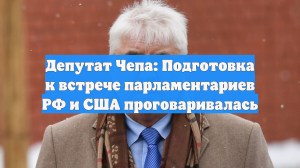 Депутат Чепа: Подготовка к встрече парламентариев РФ и США проговаривалась