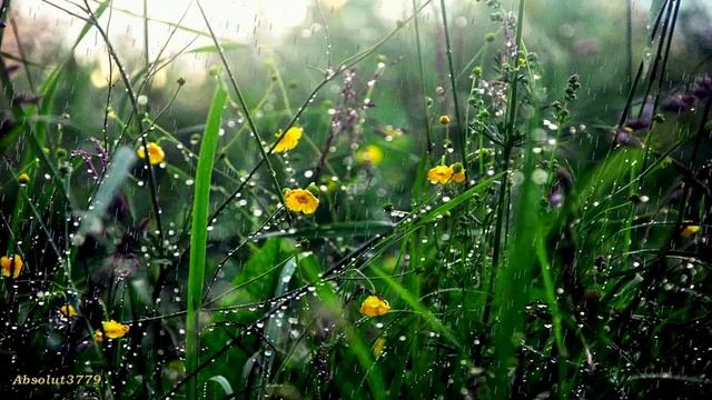 Расслабляющая фортепианная музыка , мягкие звуки дождя для расслабления во сне смотреть онлайн