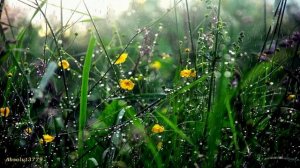 Расслабляющая фортепианная музыка , мягкие звуки дождя для расслабления во сне