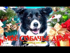 «МОЁ СОБАЧЬЕ ДЕЛО». 7 шагов навстречу человечности и новой судьбе, преодолевая в Новый Год невзгоды