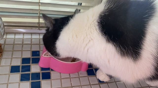 ПРОСТО ДЕНЬ / ДЕНЬ БЕЗ СУЕТЫ😊 смотреть онлайн