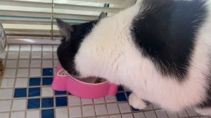 ПРОСТО ДЕНЬ /  ДЕНЬ БЕЗ СУЕТЫ😊