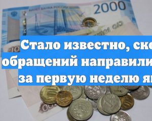 Стало известно, сколько обращений направили туляки за первую неделю января