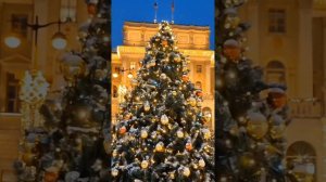 Северная столица в Рождество