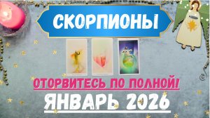 СКОРПИОН♏ТАРО ПРОГНОЗ ЯНВАРЬ 2026