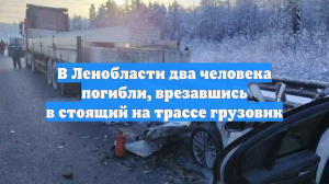 В Ленобласти два человека погибли, врезавшись в стоящий на трассе грузовик