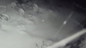 Почему  не приходится спать   . А снег идет , а снег идет .  ПОДПИШИСЬ