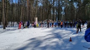 лыжи на Волкуше. 2023. лыжи. гонка.