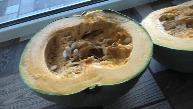 Почему в тыкве семена начали прорастать очень рано