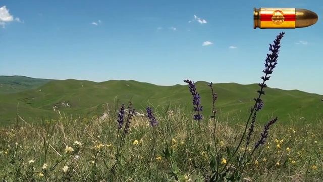 «Зылын цырт» («Кривой крест»)