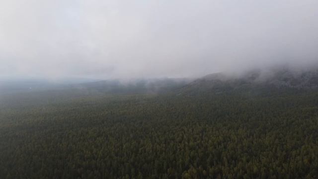 Заповедник Вишерский. Фестиваль геобрендов «Земля открытий» смотреть онлайн