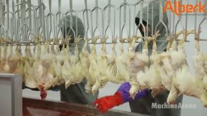 Технология инкубации