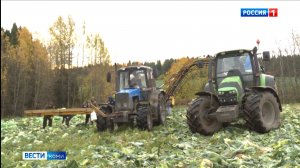 Ученые Коми подвели итоги работы за 2025 год