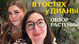 В гостях У ДИАНЫ  @murashka_plants   | КОМНАТА с РАСТЕНИЯМИ | красивое ОФОРМЛЕНИЕ РАСТЕНИЙ🪴