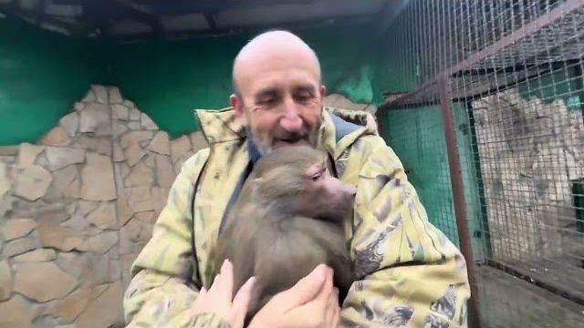 Вы будете СМЕЯТЬСЯ ЧАСАМИ, встреча Люси и Степы это просто смех!!! смотреть онлайн