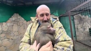 Вы будете СМЕЯТЬСЯ ЧАСАМИ, встреча Люси и Степы это просто смех!!!