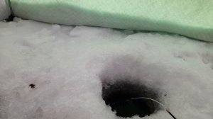 НОВОГОДНЯЯ РЫБАЛКА 2026.