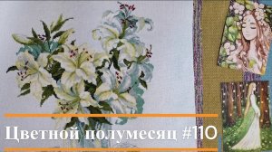 Цветной полумесяц 109//25.12.25-07.01.26. Риолис, РТО, Овечкины забавы. И горстка стартов