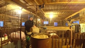 Домик в Деревне,Кормлю свиней,управляюсь по хозяйству,жизнь,блог