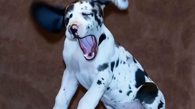 РИЧИНЫ ДЕТКИ смотреть онлайн