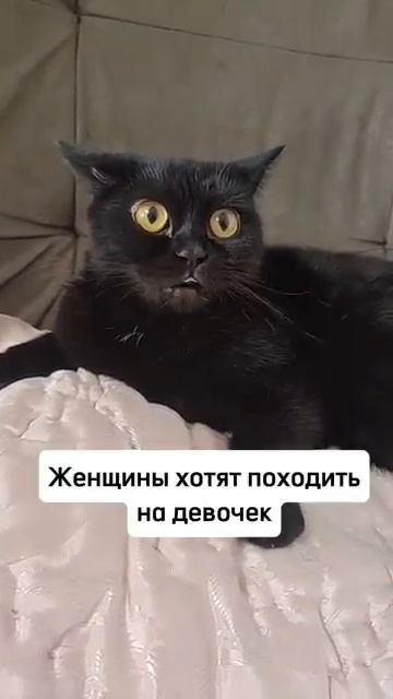 Женский мир смотреть онлайн