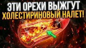 99% людей не знают - ЭТИ ОРЕХИ - Убийцы АТЕРОСКЛЕРОЗА! Чистят сосуды за 1 неделю