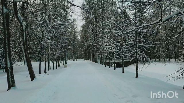 Прогулка в зимнем парке: Ораниенбаум смотреть онлайн