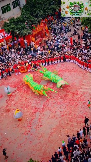 Если вы не знали как танцуют омары, то можете посмотреть 🤣 смотреть онлайн