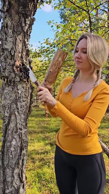 Делаем вкусный чай из еловых веток в лесу