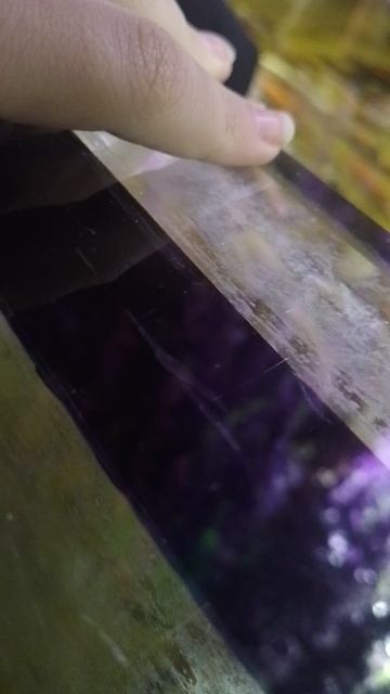 люблю вас зайки