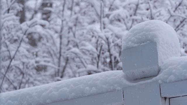 Судьбоносный гороскоп на 10 января. смотреть онлайн