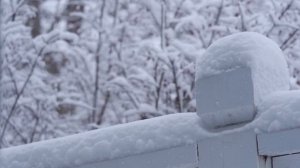 Судьбоносный гороскоп на 10 января.