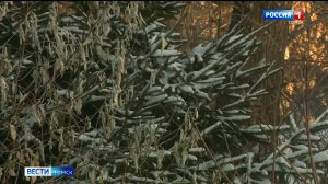 Вести-Томск, выпуск от 08.01.2026 21:10