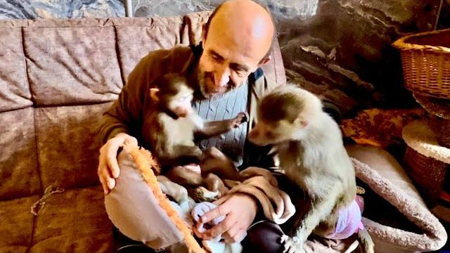 Вот это ДА! Мы ВПЕРВЫЕ принесли маленькую Николь к Люсе, ее реакция нас удивила! смотреть онлайн