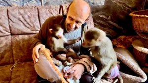 Вот это ДА! Мы ВПЕРВЫЕ принесли маленькую Николь к Люсе, ее реакция нас удивила!