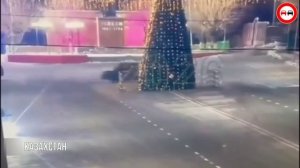 ультра супер пупер мега алтимейт ДИБИЛ