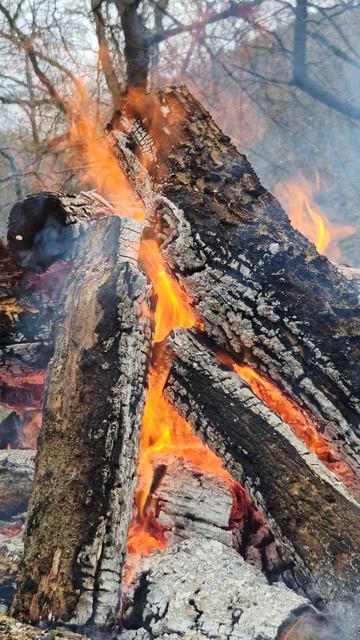 ЧАРУЮЩИЙ КОСТЕР смотреть онлайн