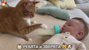 Ребята и зверята от ИИ милое видео для души и радости 👶🏻😺🐶 (26)