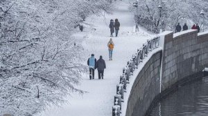 Синоптики спрогнозировали температуру до –11 градусов и снег в Москве 9 января