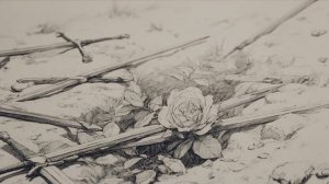 Daughters of the Rose of Winds