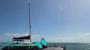 Морская душа.