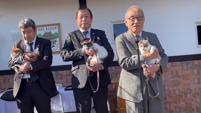 Новая кошка-смотритель на станции Кинокава вступила в должность