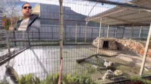 Рождественское Настроение в Новом Херсонесе Севастополя 🎄