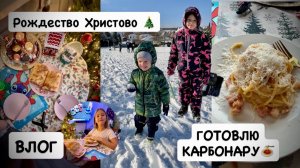 ВЛОГ: Рождество Христово🎄начинаю принимать БАДы | впервые готовлю пасту карбонара | на санки семьёй