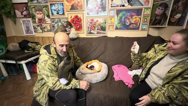 Анфиса включила ЯЖЕМАТЬ! такой заинтересованности в Николь мы в ней точно не ожидали увидеть ❤️ смотреть онлайн