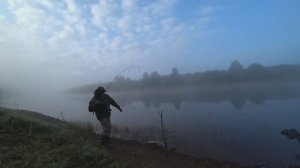 УШЁЛ В ТАЙГУ, ЗА ЕДОЙ ДЛЯ ВСЕЙ СЕМЬИ! ЗАКИНУЛ НА ДУРАКА И ЕСТЬ \ ГРИБЫ НА БЕРЕГУ РЕКИ, ОДИН НА РЕКЕ!