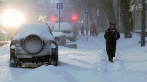 В Москве, по прогнозам синоптиков, может быть побит суточный рекорд по количеству осадков.