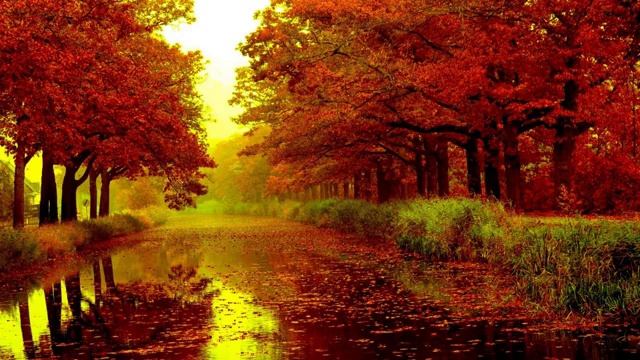 Сура 36 "Йа-Син" красивое чтение Корана смотреть онлайн