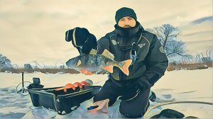 Ловля окуня на балансир. Река Самара.