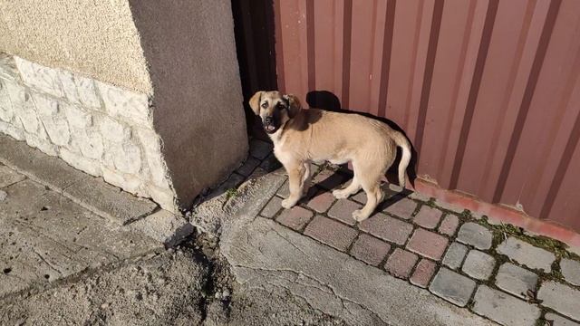 Один из дней города Евпатории | 4 января 2021 год | Крым | ХАН БАТОН XAH 6ATOH / VID_20210104_135257